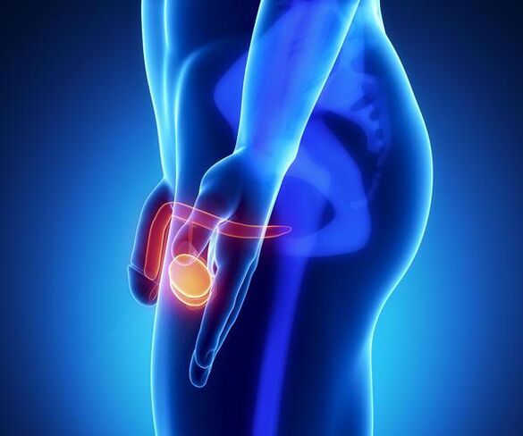 Jinsiy aloqa Novomoskovsk Tula